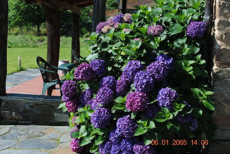 Agroturismo Casa De Aldea Terraverde