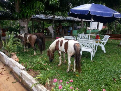 Agroturismo Chacara Santa Barbara