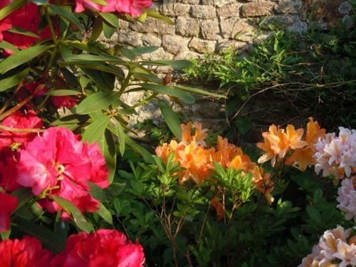 Bed & Breakfast Le Logis Du Stang