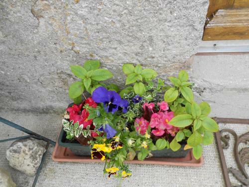 Bed & Breakfast Ferme Manoir La Fiere
