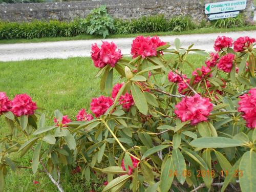 Bed & Breakfast Ferme Manoir La Fiere