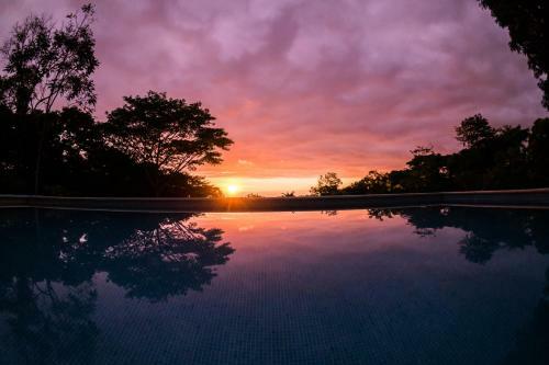Bed & Breakfast Tree Of Life Cabinas