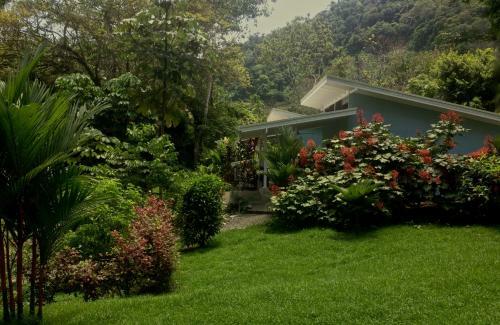 Bed & Breakfast Tree Of Life Cabinas