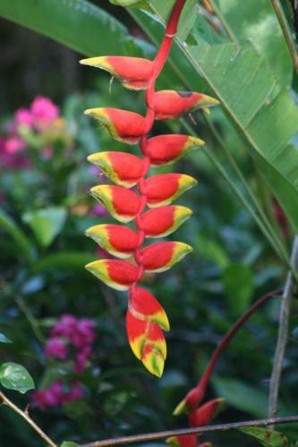 Bed & Breakfast Tree Of Life Cabinas