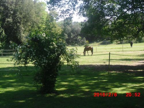 Agroturismo Mas Caterina