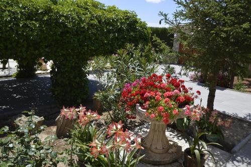 Agroturismo Alojamiento Rural Soler