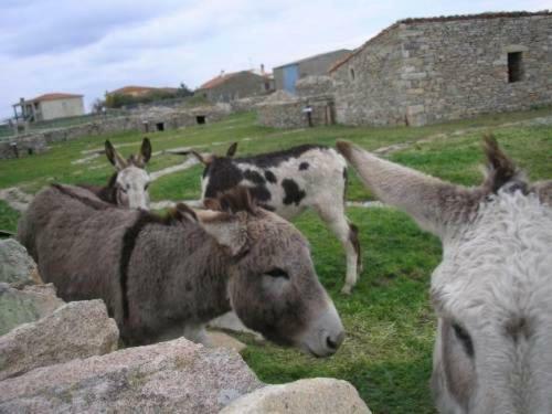 Agroturismo Casa Rural Zapatero