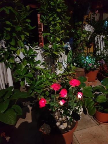 Agroturismo El Cuartelillo Viejo