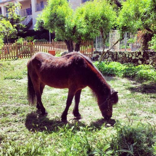 Agroturismo Granja San Miguel