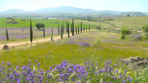 Agroturismo Casa Rural Romana