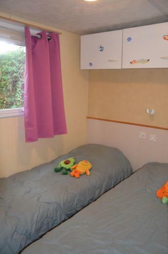 Camping Les Mijeannes