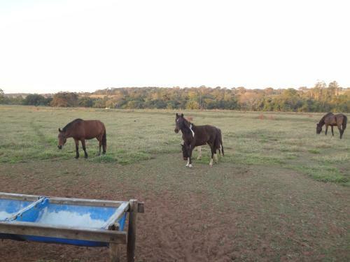 Agroturismo Est�ncia Flamarion