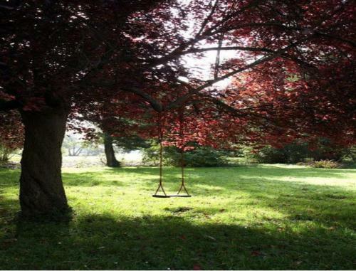Bed & Breakfast Le Moulin Fleuri Du Petit Appeville