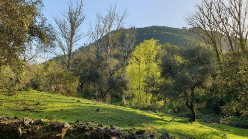 Agroturismo El Refugio De Los Molinos