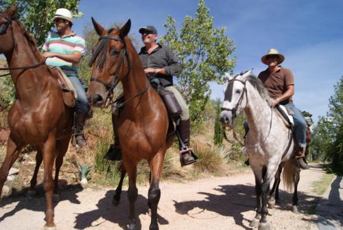 Agroturismo Casas Rurales Los Cortijos
