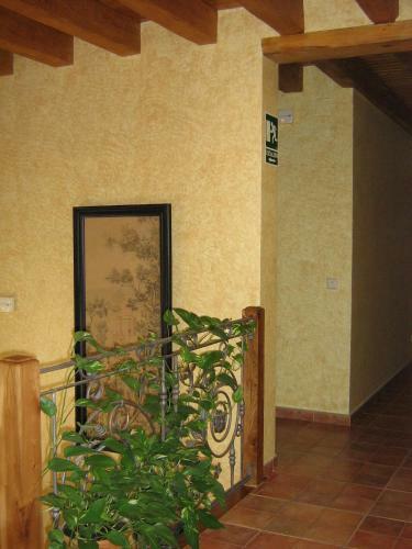 Agroturismo Centro De Turismo Rural El Museo