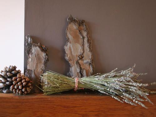 Holiday Home Entre Pins Et Vignes Rochegude