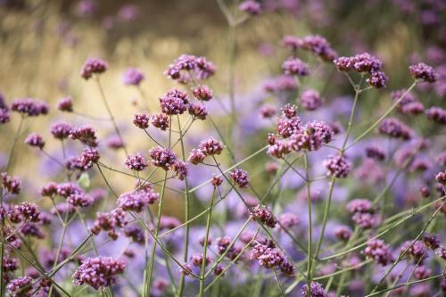 Agroturismo Park House Hotel