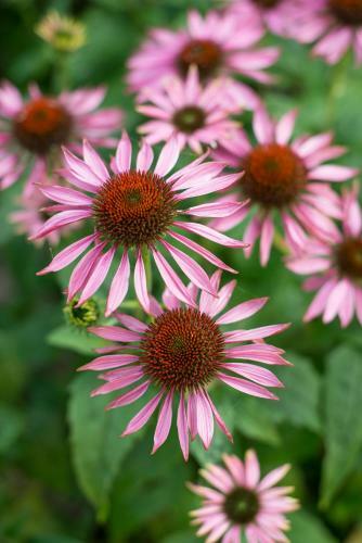 Agroturismo Park House Hotel