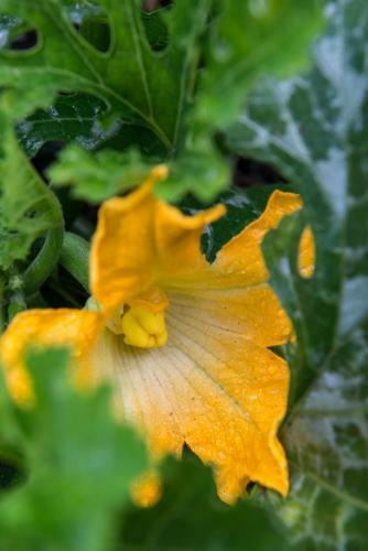 Agroturismo Park House Hotel