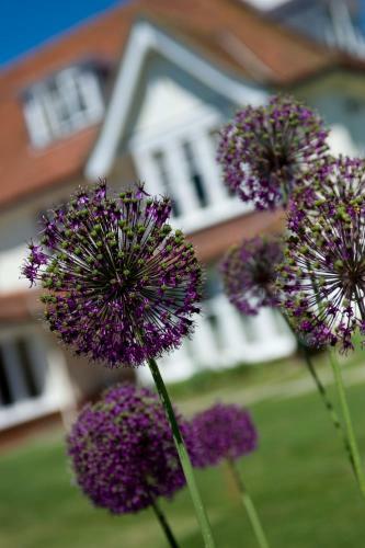 Agroturismo Park House Hotel