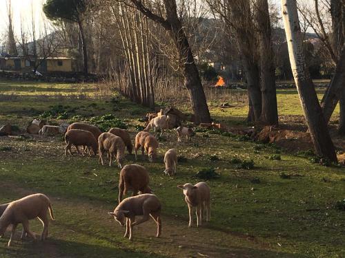 Agroturismo Casa Rural Nacimiento Del Hu�znar