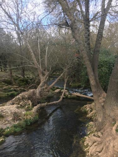Agroturismo Casa Rural Nacimiento Del Hu�znar