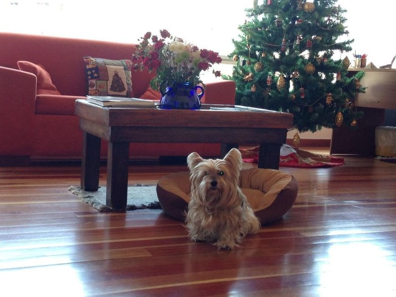 Apartahotel Santa B�rbara I