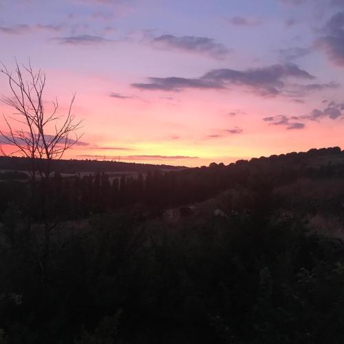 Agroturismo Hr El Castejon De Luzaga
