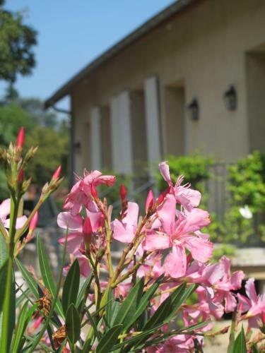 Apartamento Les Communs Du Manoir