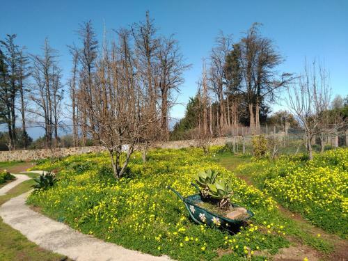 Agroturismo Casa Rural La Gustoza