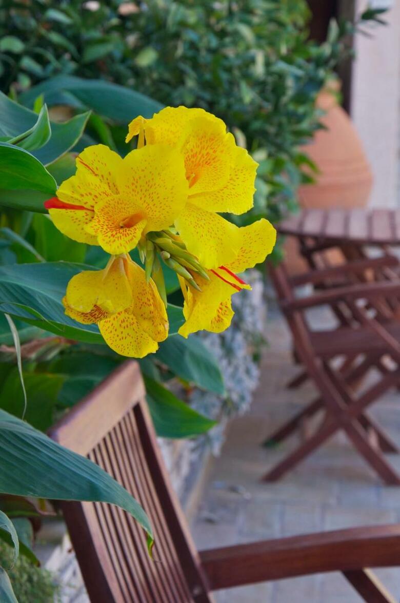 Hotel Ino