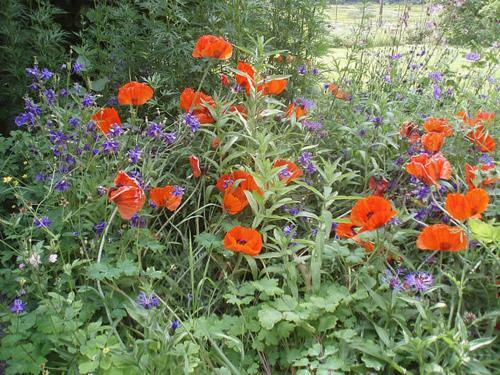 Agroturismo Lower Buckton Country House
