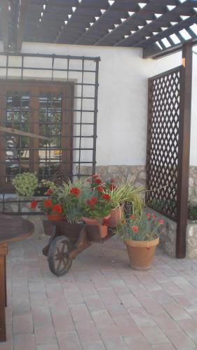 Agroturismo Casa Rural El Olivar De Las Pepinas