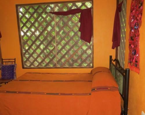 Bed & Breakfast Toucan And Tarpon