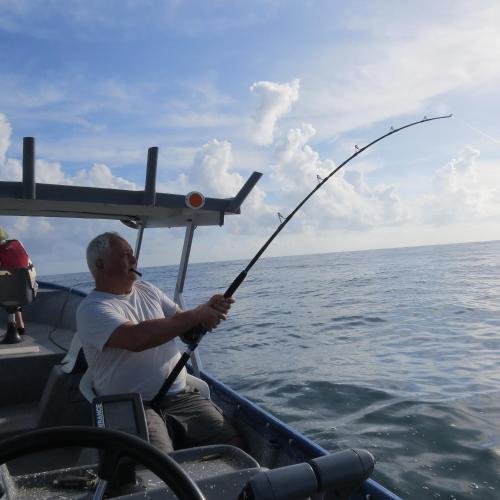 Bed & Breakfast Toucan And Tarpon