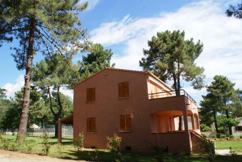 Pinea Mare