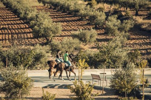 Agroturismo Complejo Rural La Tejera