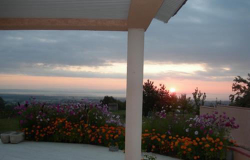 Bed & Breakfast Le Clos Des Mal�zolles