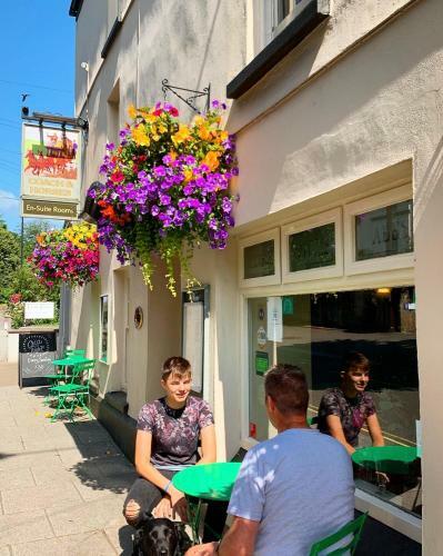 Posada The Coach And Horses Inn