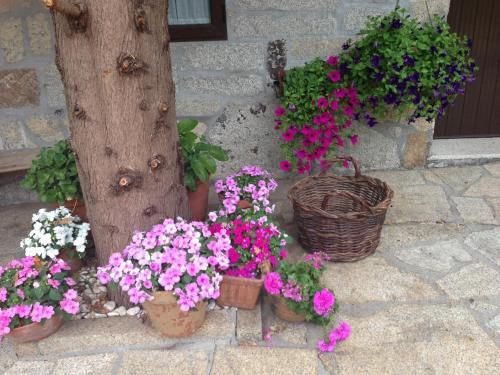 Agroturismo Casa O Fabal