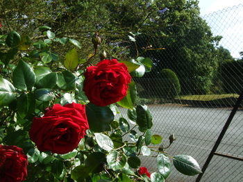 Agroturismo The Old Rectory Country House