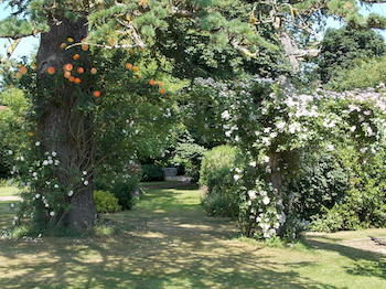 Agroturismo The Old Rectory Country House