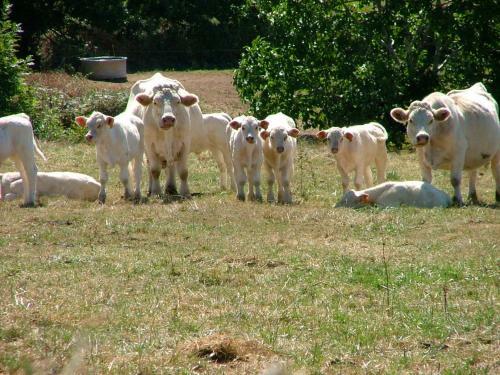 Bed & Breakfast Domaine De La Madeleine