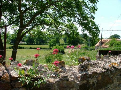 Bed & Breakfast Domaine De La Madeleine