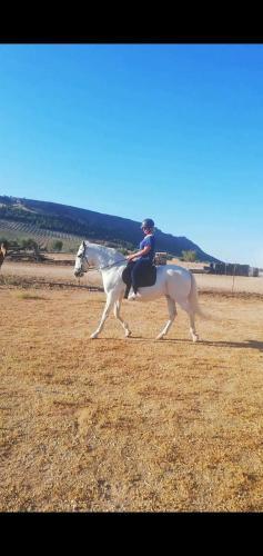 Agroturismo Cortijo Ferradores
