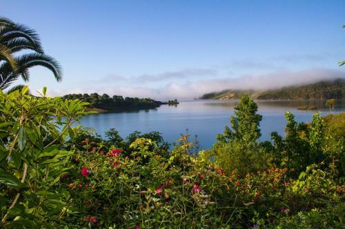 Bed & Breakfast Paradise In Portugal