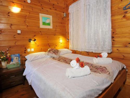 The Galilee Cabin