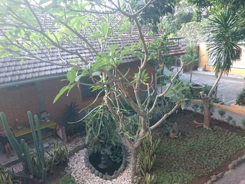 Deutsches-eck Rikesti