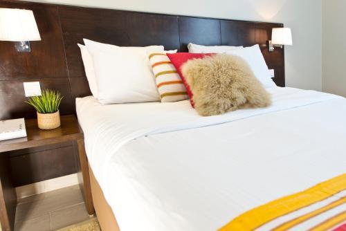Apartamento Shada Suites - Salama